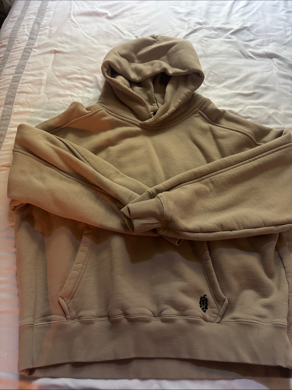 Free People Oversized Hoodie in Beige